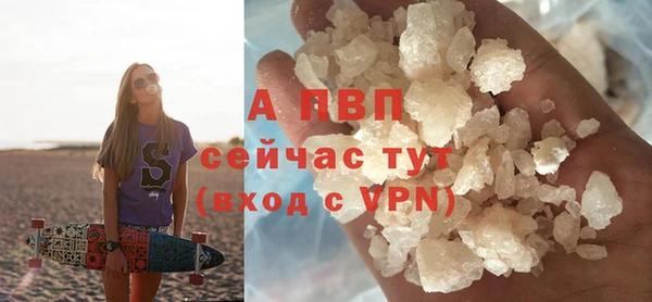 мяу мяу мука Горно-Алтайск