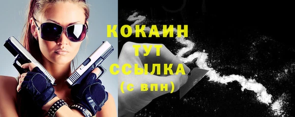 сатива Горнозаводск