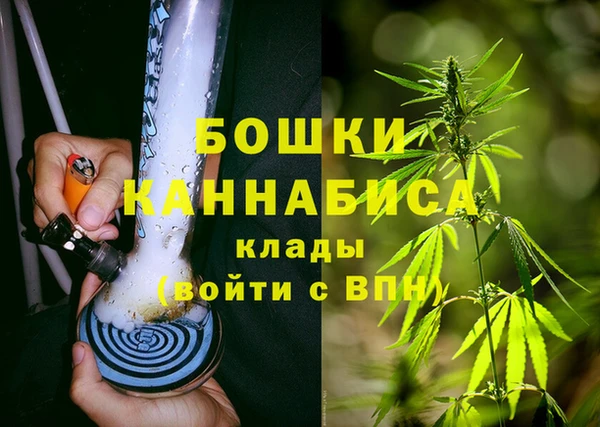 мяу мяу мука Горно-Алтайск