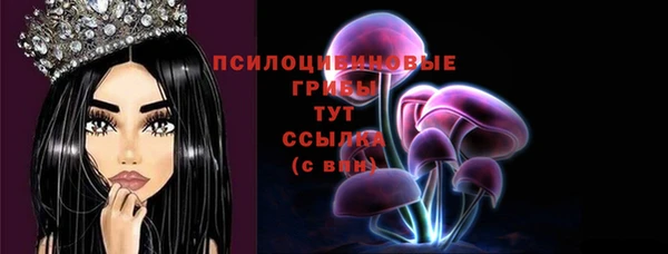 сатива Горнозаводск