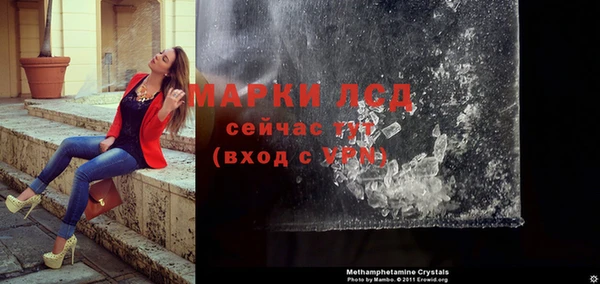 мяу мяу мука Горно-Алтайск