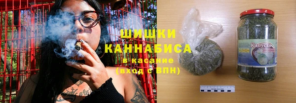 сатива Горнозаводск