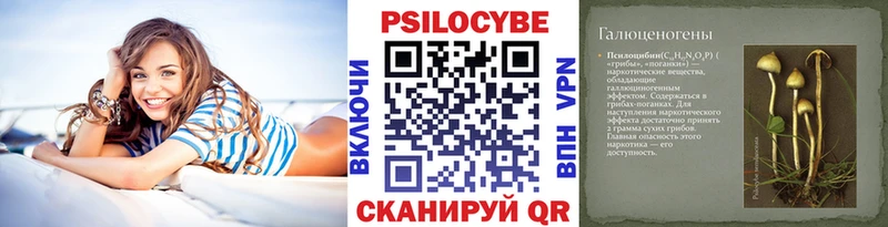 купить наркоту  Дмитриев  Псилоцибиновые грибы прущие грибы 